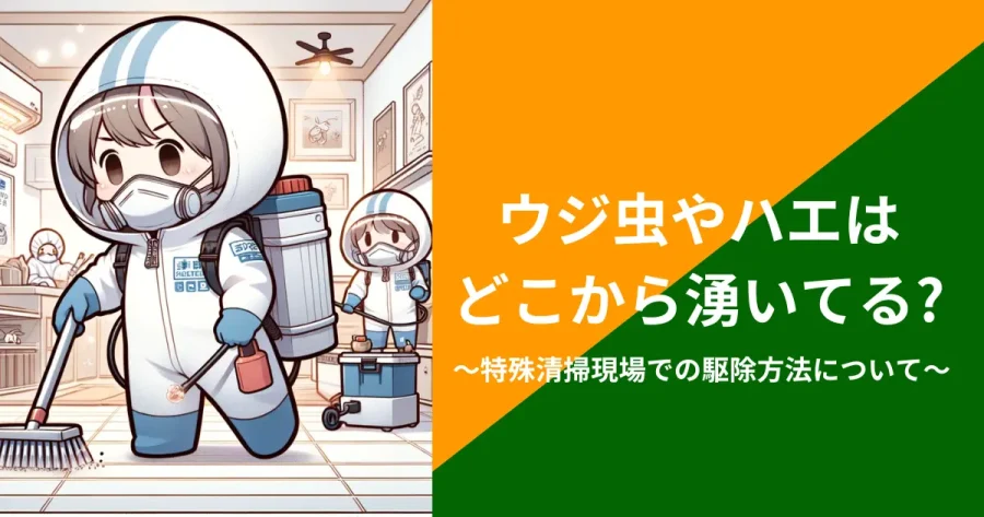 ウジ虫やハエはどこから湧いてる？